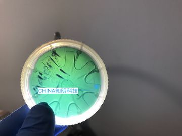 Harga yang pantas 2 INCH 6H-N Silicon Carbide Wafer Tipe MPD 50cm 330um SiC Crystal Wafers on line